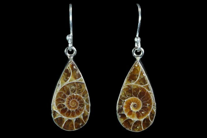 Fossil Ammonite Earrings - Sterling Silver #81638